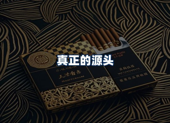 专业团队办公环境